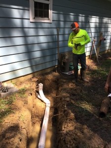 e8565cbf-57d5-414e-842a-798dbdb028d4