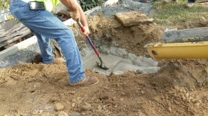 eb9de51c-9b0c-438c-be82-123f32f31b0e