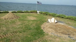 516e5044-c95e-40ba-8a11-355a7f6ef383